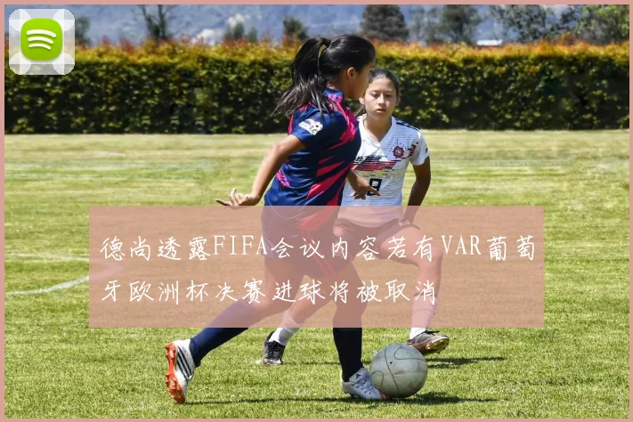 德尚透露FIFA会议内容若有VAR葡萄牙欧洲杯决赛进球将被取消